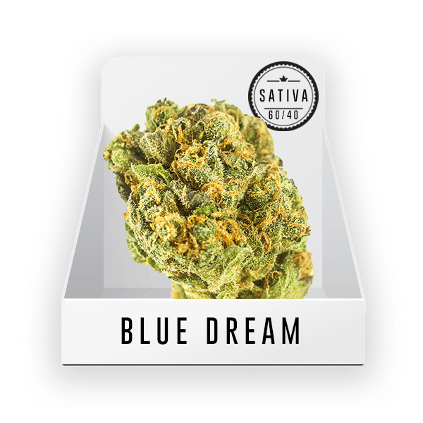 数量限定第2弾 LA産THCV 420％ Blue dream 1本 - library.iainponorogo 